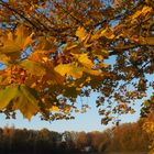 goldener Ausblick