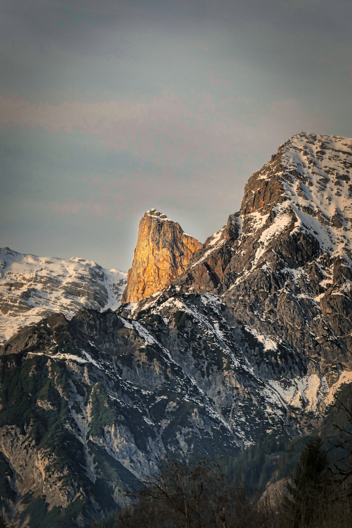 Goldener Berg-Zahn