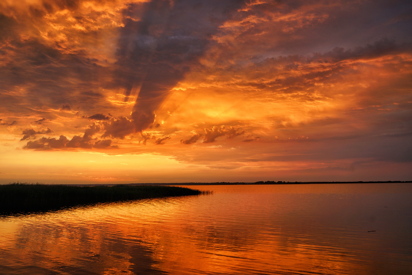 Goldener Bodden