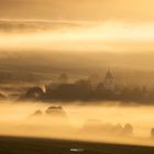 Goldener Bodennebel