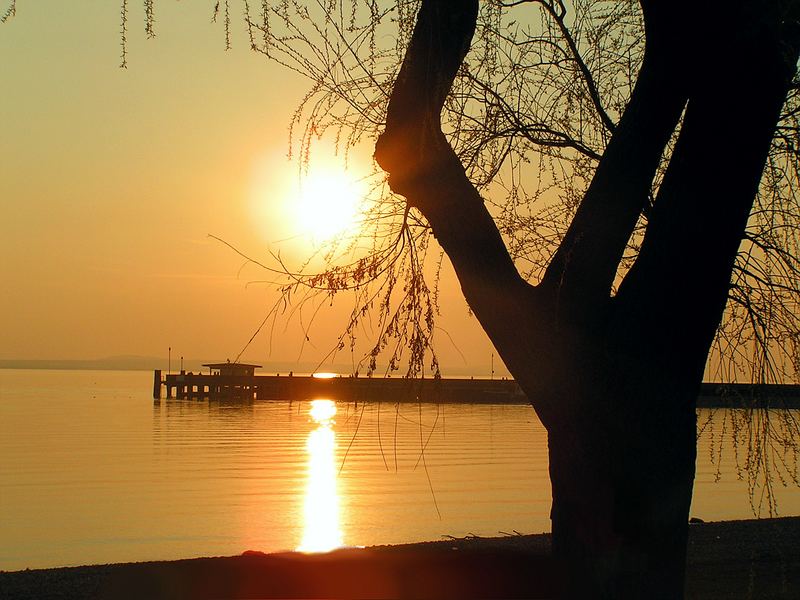 Goldener Bodensee