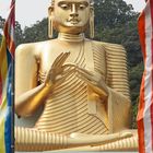 Goldener Buddha 