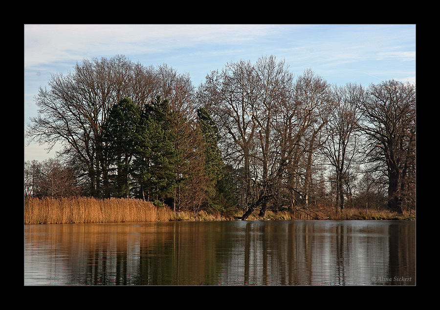 Goldener Dezember