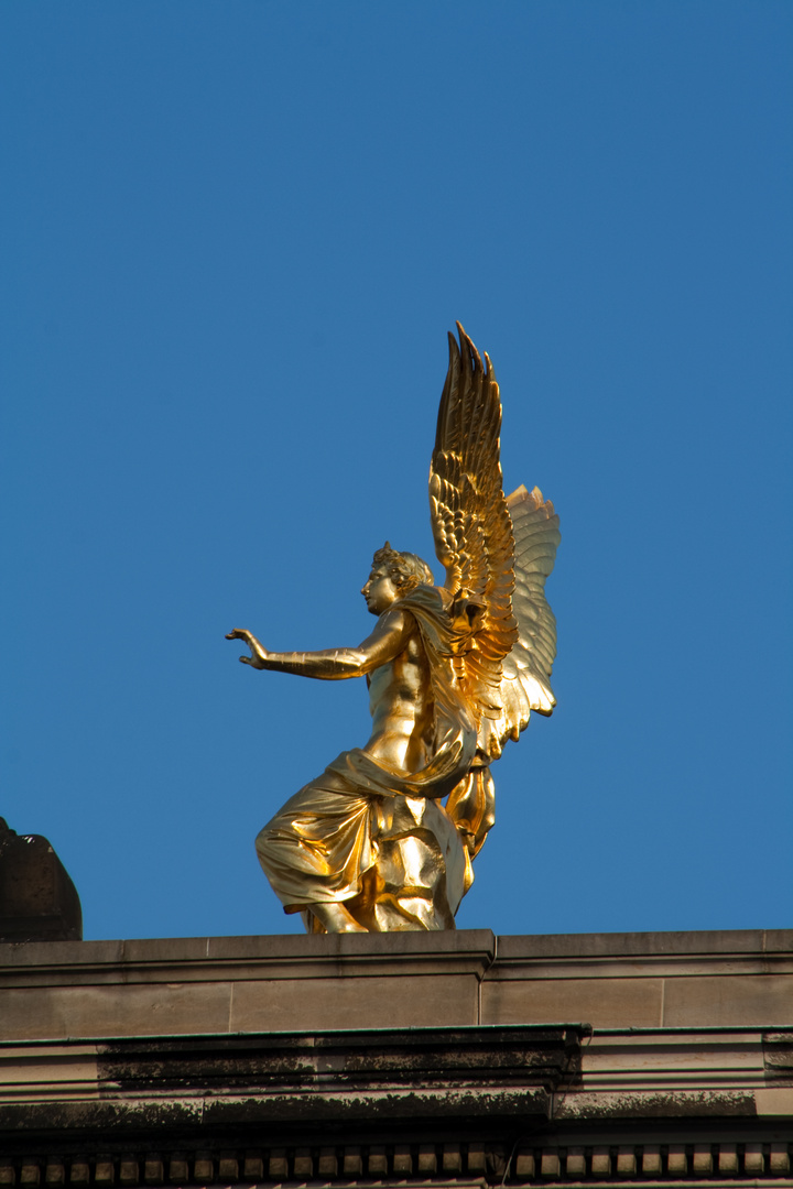 goldener Engel über Dresden