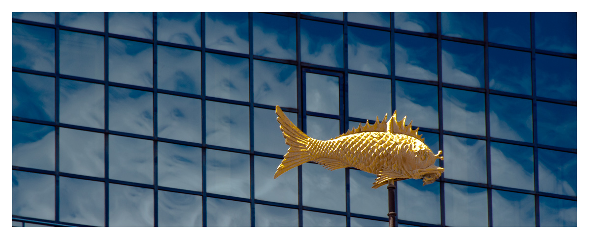 ~~Goldener Fisch im Wolken-Meer ~