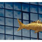 ~~Goldener Fisch im Wolken-Meer ~