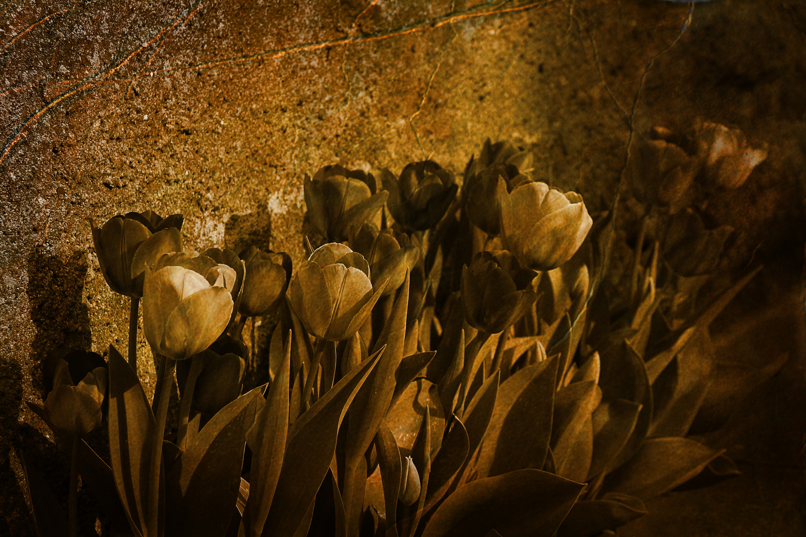 goldener Frühling