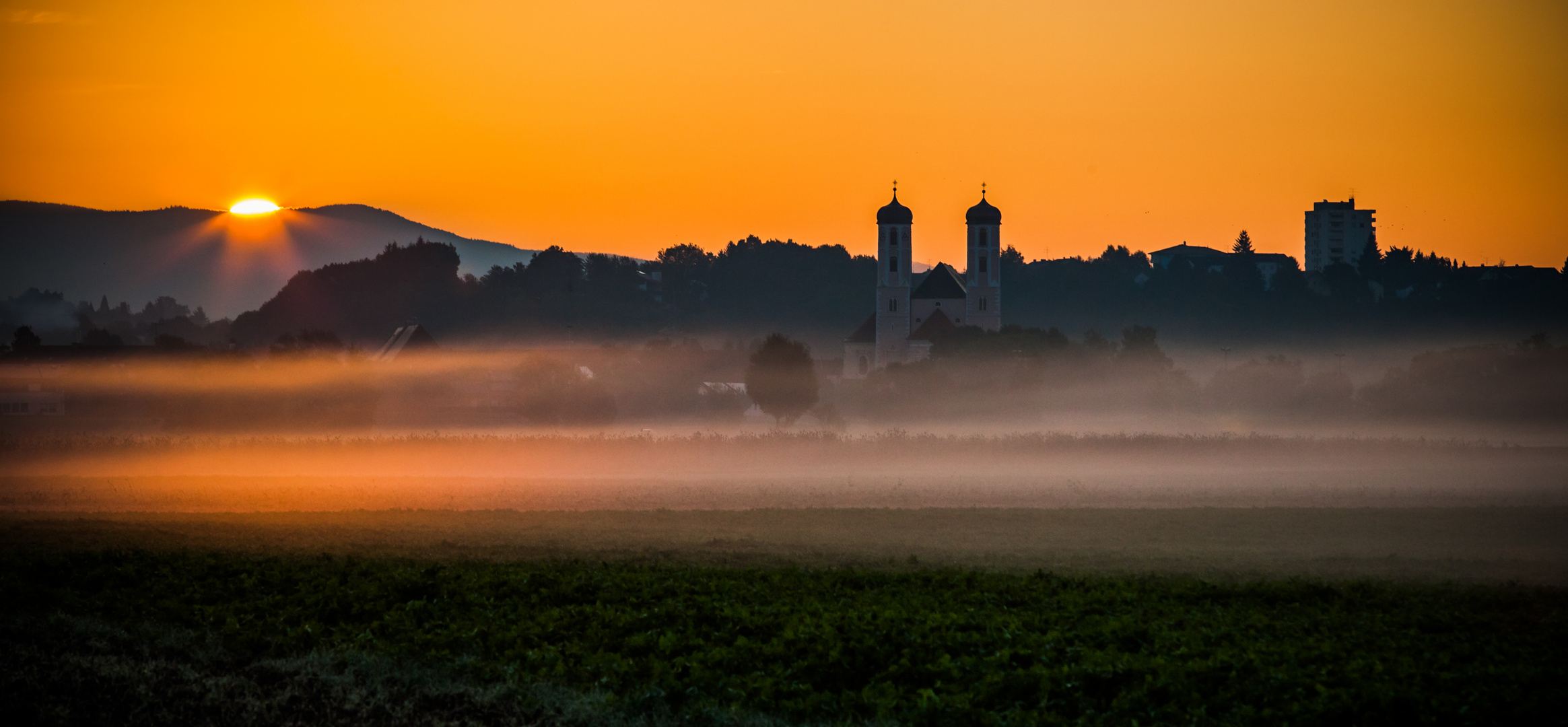 Goldener Frühnebel