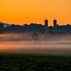 Goldener Frühnebel