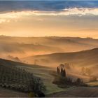 Goldener Frühnebel