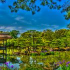 goldener Garten in Kyoto.