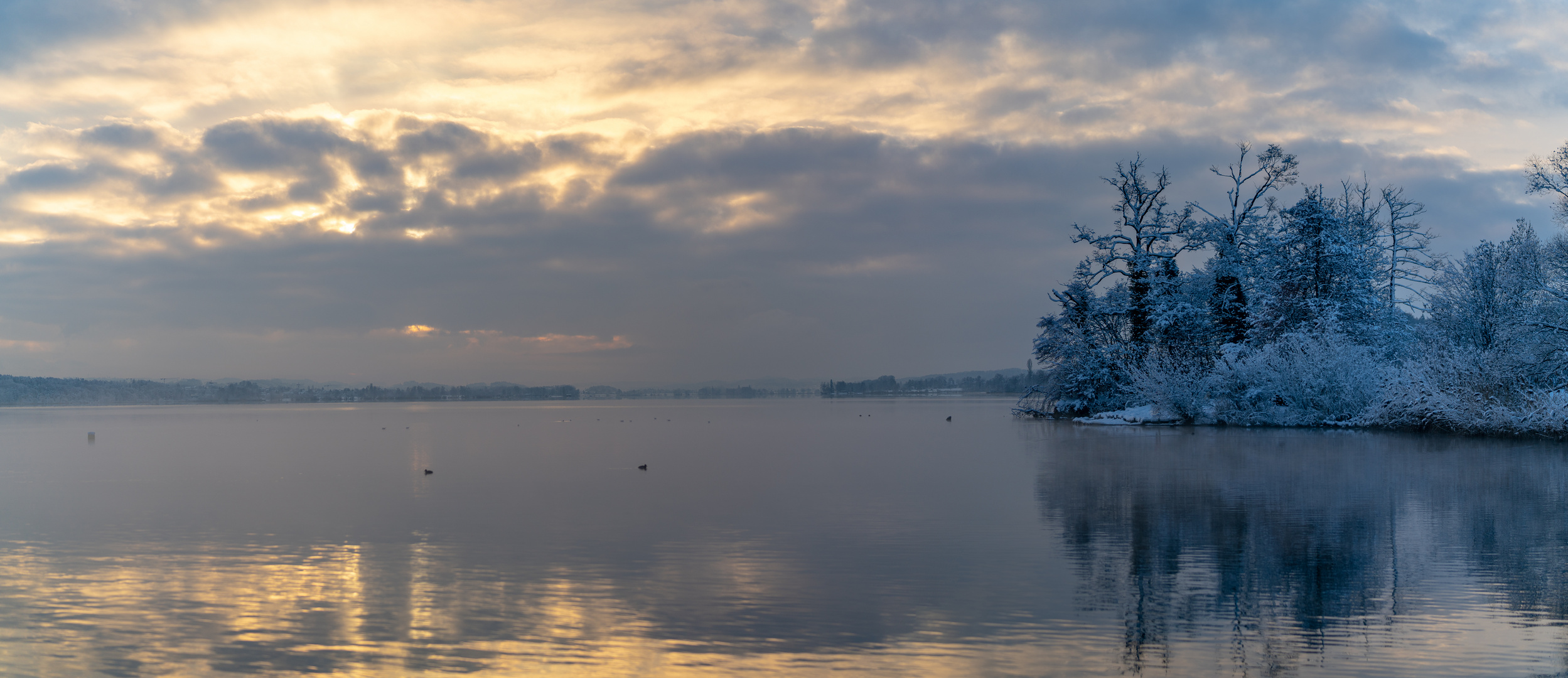 goldener Greifensee