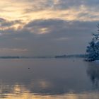 goldener Greifensee