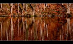 goldener Herbst