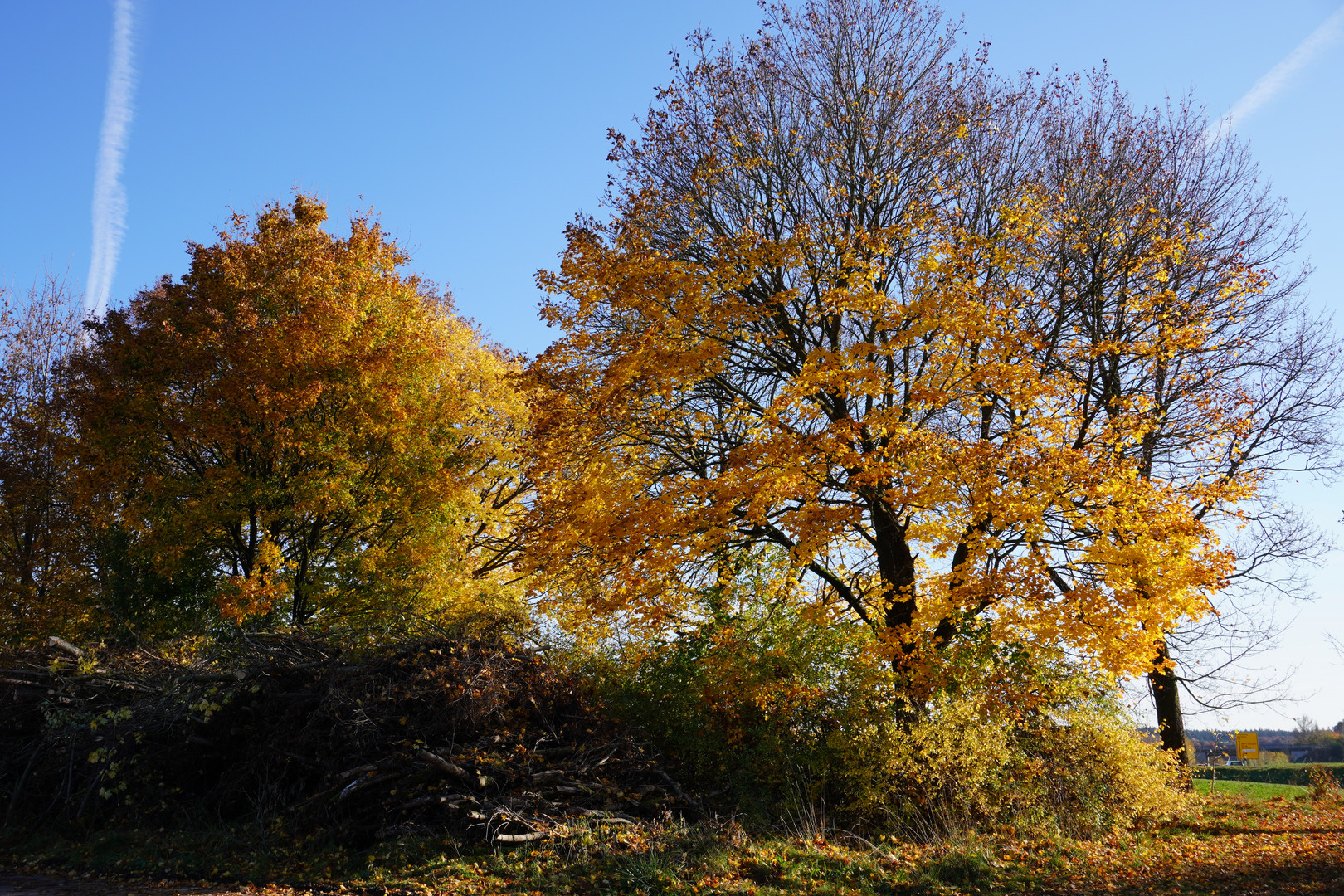 Goldener Herbst