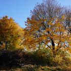 Goldener Herbst