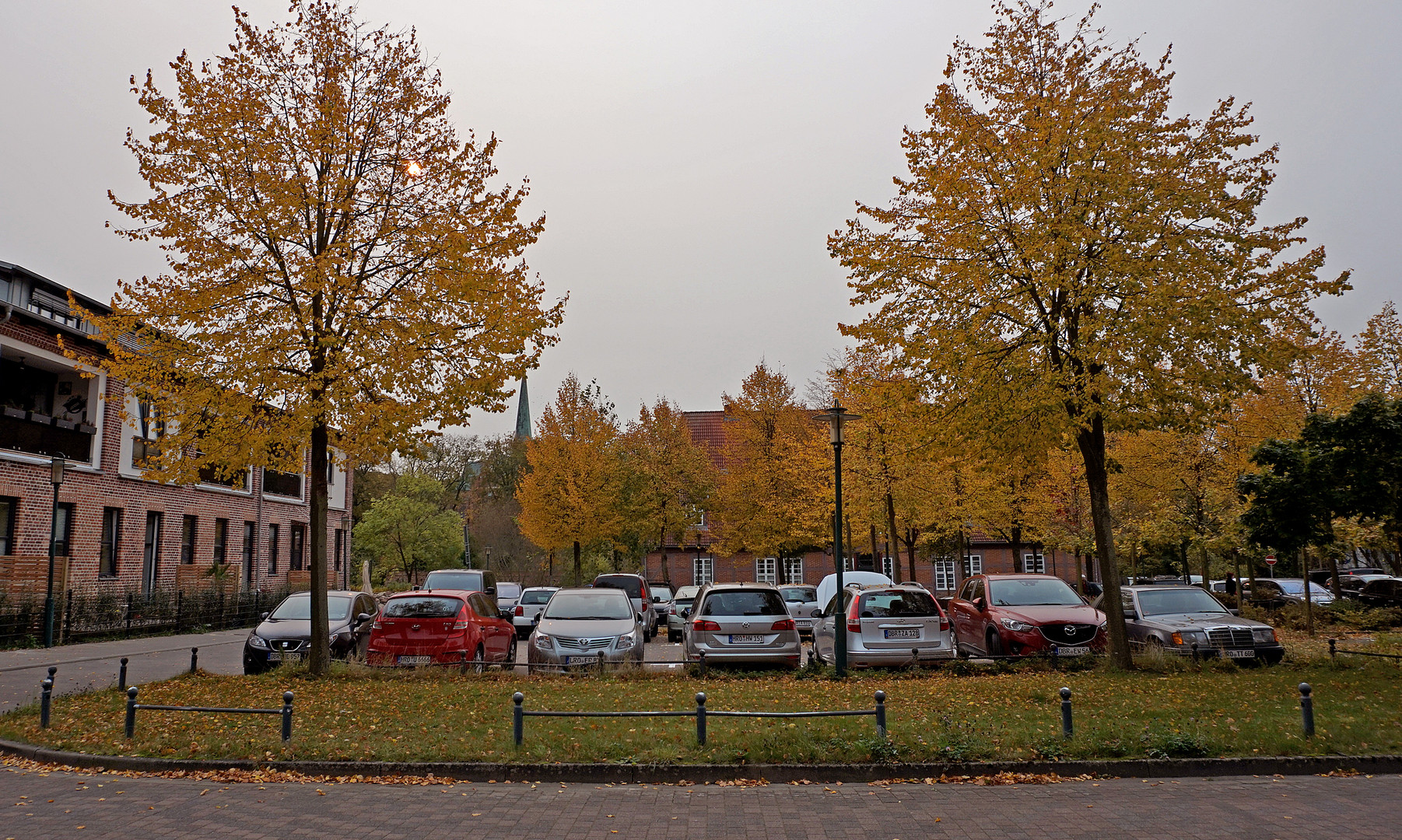 Goldener Herbst 