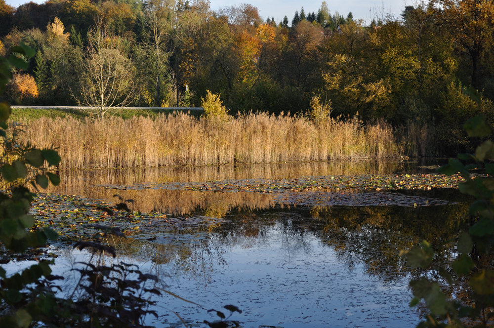 Goldener Herbst