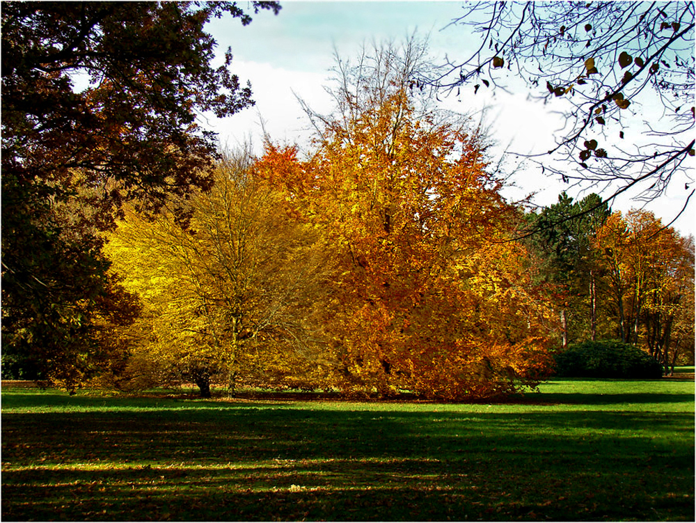 Goldener Herbst