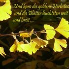 Goldener Herbst....