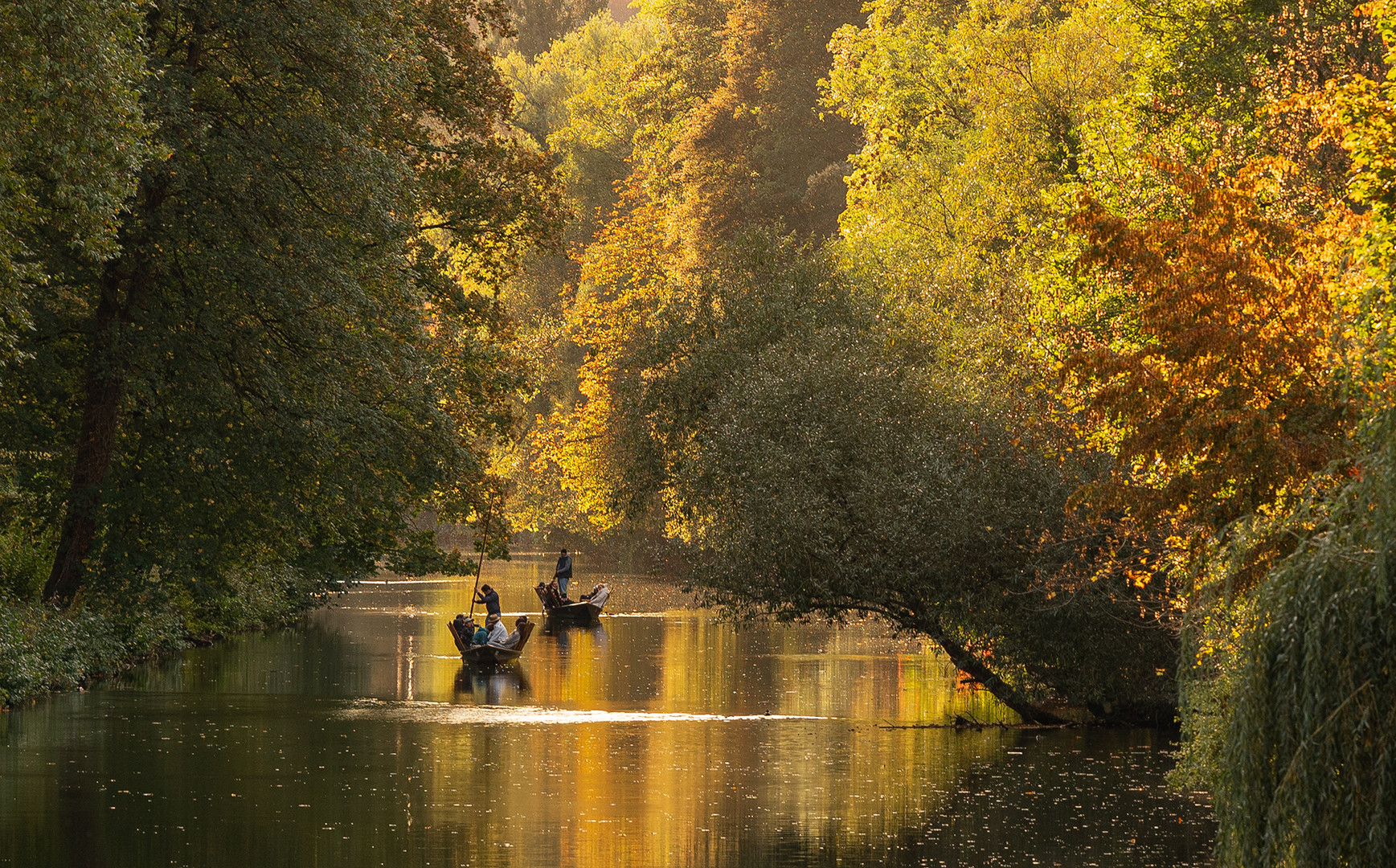 Goldener Herbst