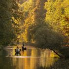 Goldener Herbst