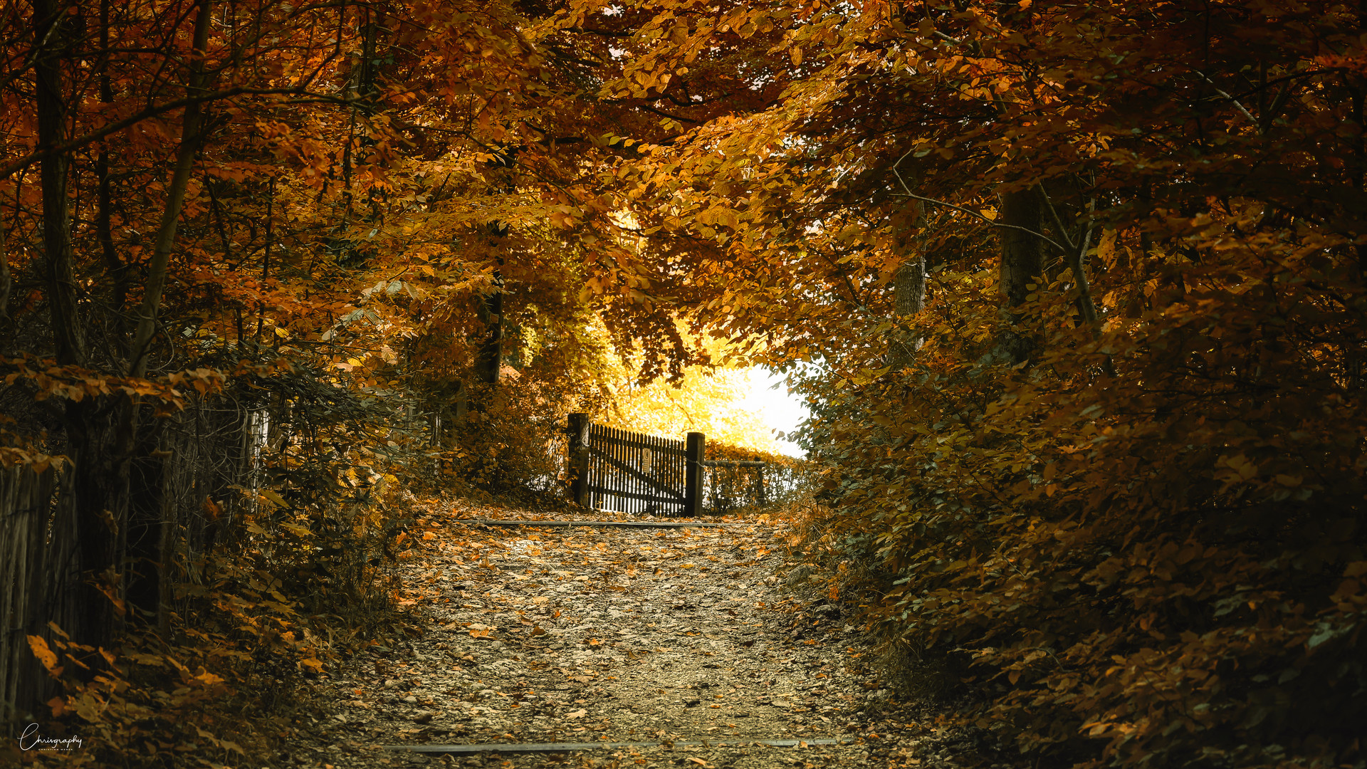 Goldener Herbst