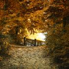 Goldener Herbst