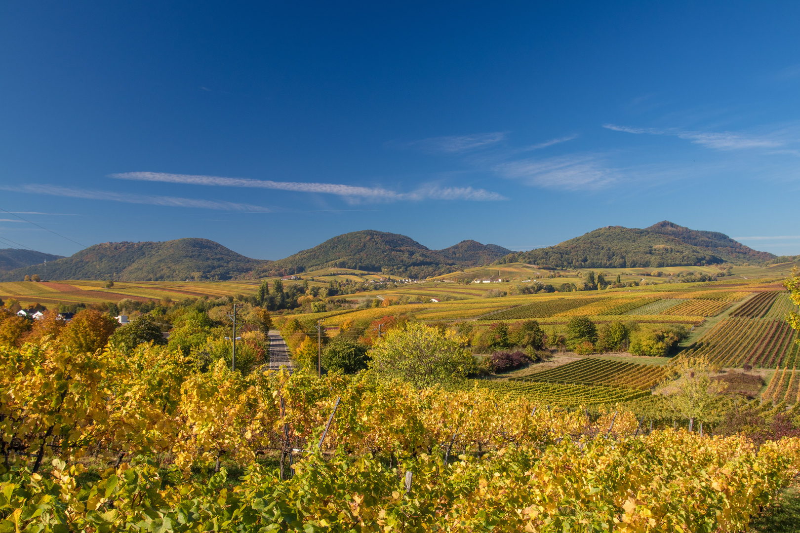 Goldener Herbst...