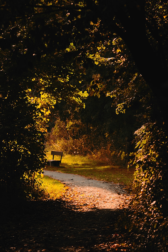 Goldener Herbst