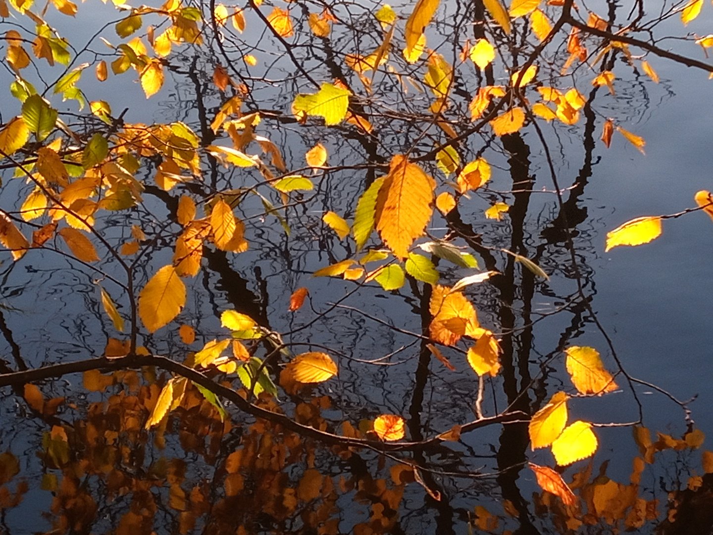 Goldener Herbst