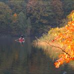 Goldener Herbst ...