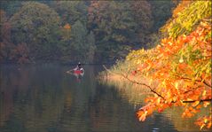 Goldener Herbst ...