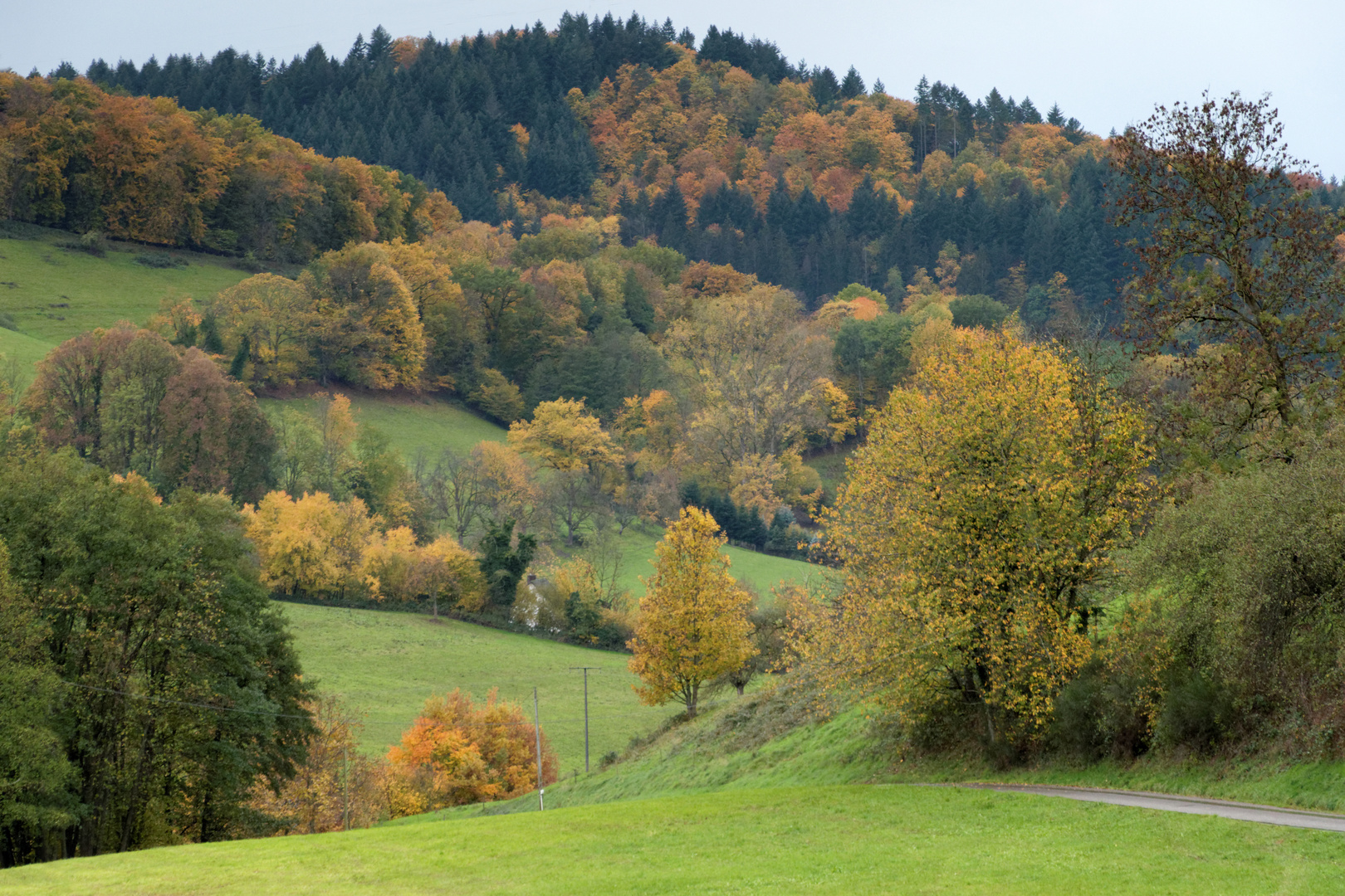 Goldener Herbst 1