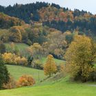 Goldener Herbst 1