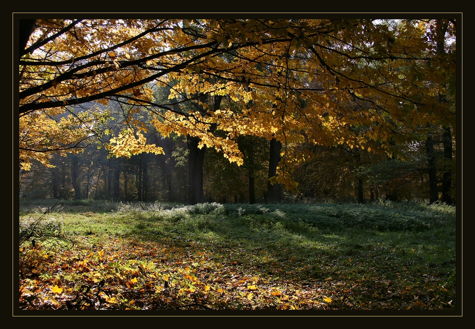 Goldener Herbst 1