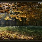 Goldener Herbst 1