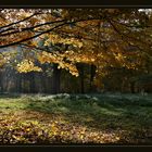 Goldener Herbst 1