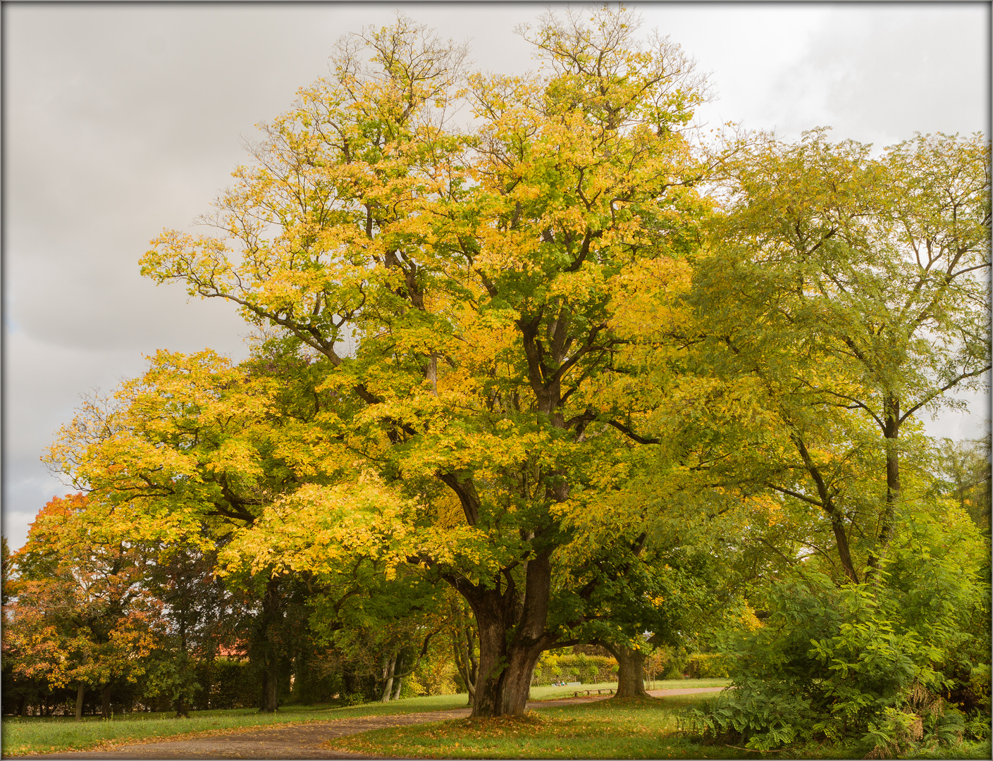 Goldener Herbst 1