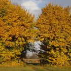 Goldener Herbst 1