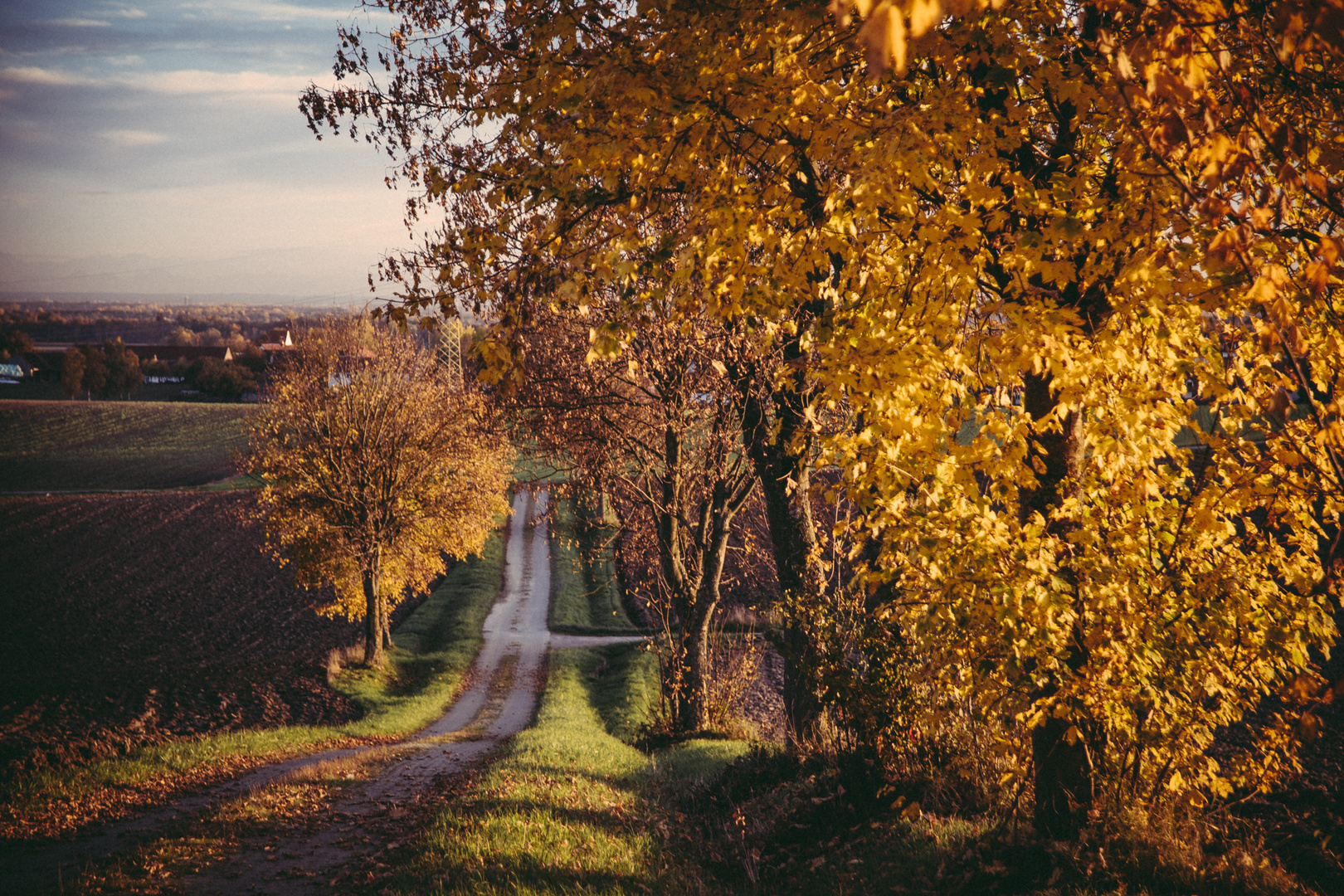 Goldener Herbst.