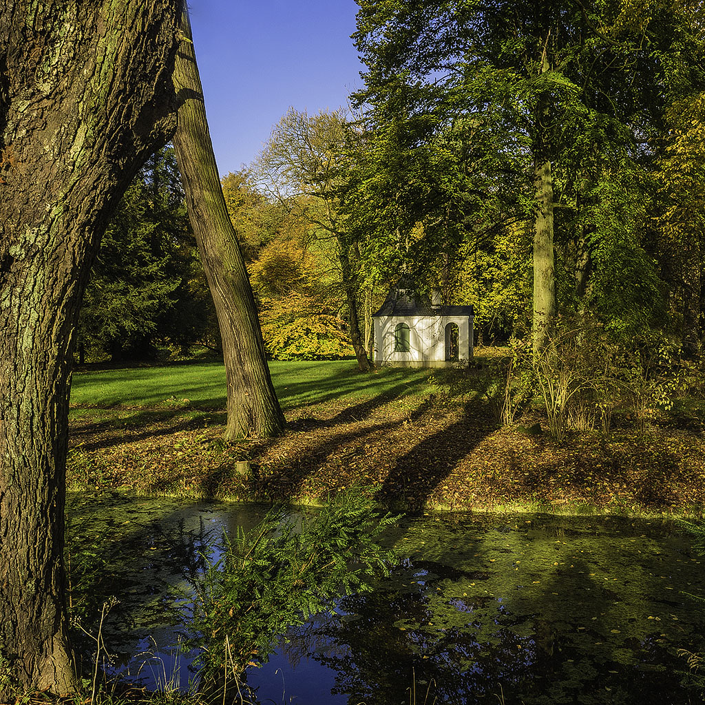 Goldener Herbst