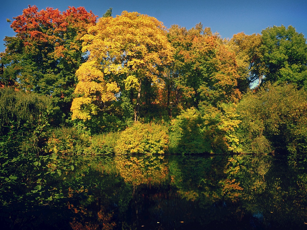 Goldener Herbst