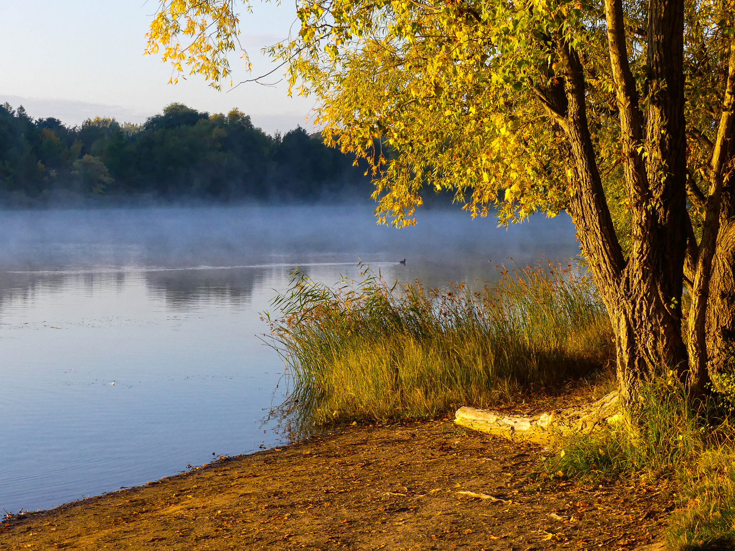 Goldener Herbst