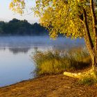 Goldener Herbst