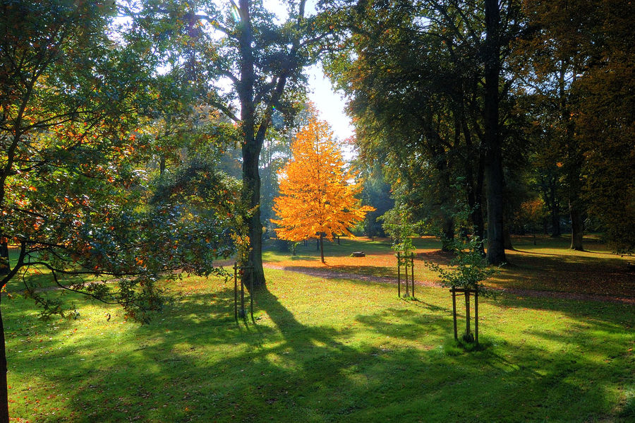 Goldener Herbst