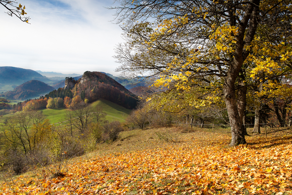 Goldener Herbst