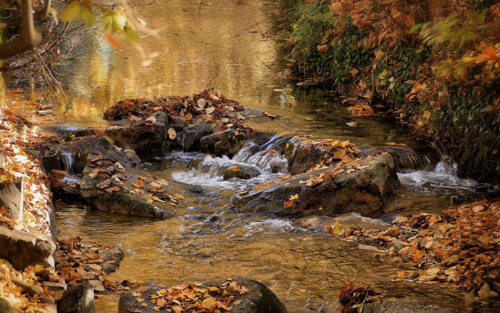 goldener Herbst