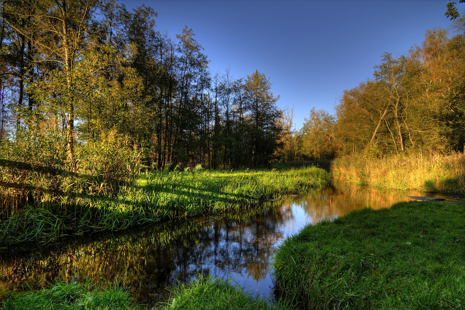 Goldener Herbst