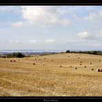 Goldener Herbst